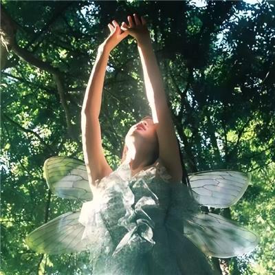 亚尔斯兰战记 OAD