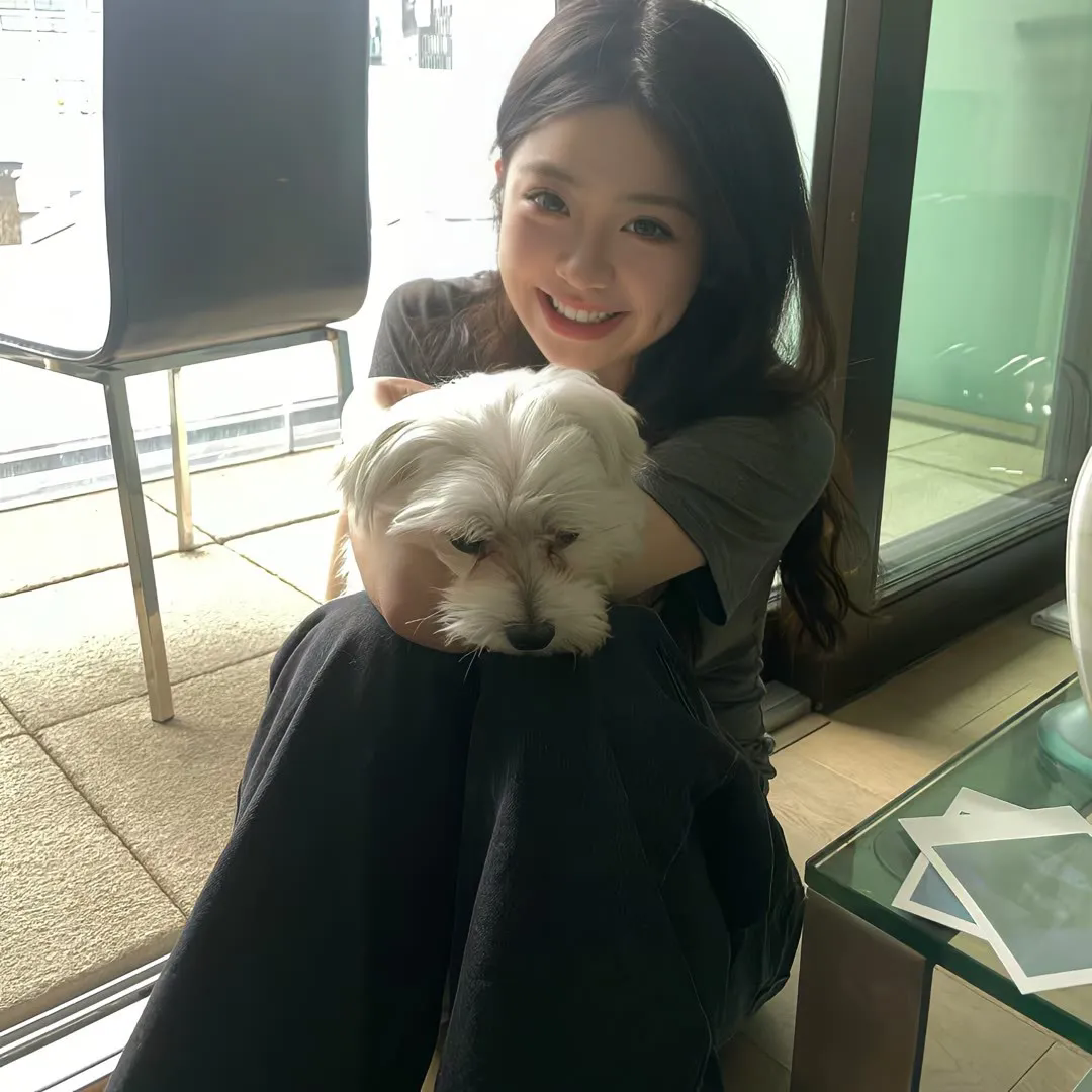 龙棺古墓：西夏狼王